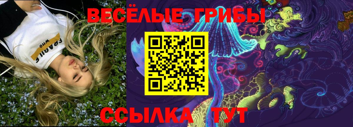 Галлюциногенные грибы Cubensis Богородицк